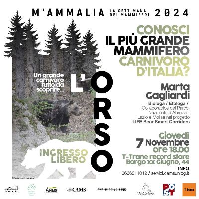 M'ammalia - La settimana dei mammiferi 2024: L'orso, un grande carnivoro tutto da scoprire